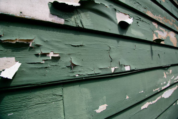 Best Same-Day Junk Removal Services  in Greenwood Village, CO